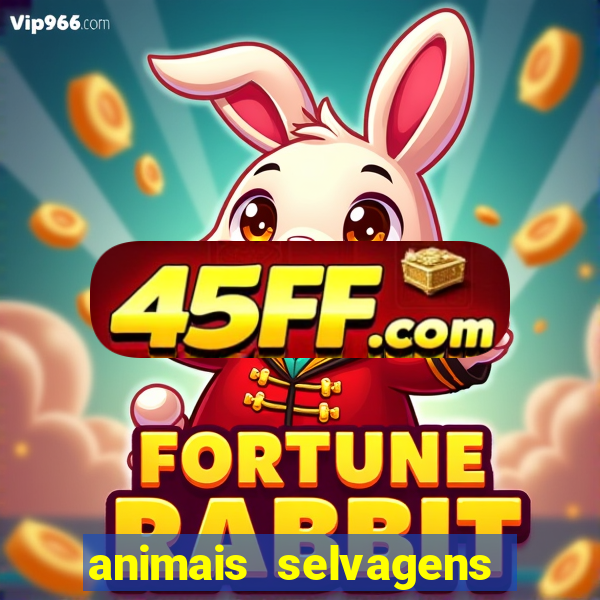 animais selvagens fotos e nomes